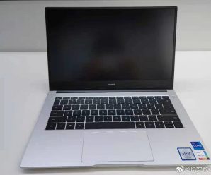 С процессорами Intel Tiger Lake и графикой Nvidia MX450. Ноутбук Huawei MateBook D нового поколения позирует на живых фото