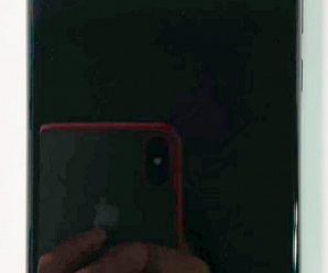 Huawei P50 Pro на живых фото