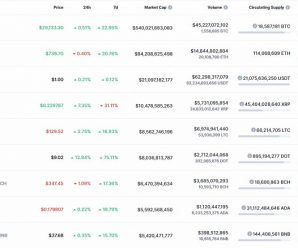 Bitcoin отметил Новый год подорожанием до 29 000 долларов