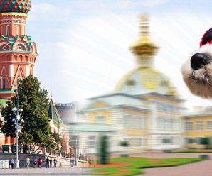 Между Москвой и Санкт-Петербургом построили квантовую линию связи
