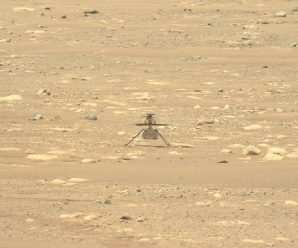 Марсианский вертолёт Ingenuity успешно прошёл важное испытание. Но даты первого запуска пока нет