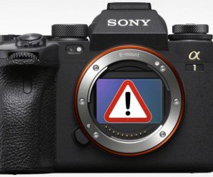 В камере Sony Alpha 1 обнаружены проблемы