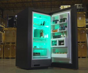 Microsoft подтвердила Xbox-холодильник
