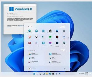 Всё не так однозначно: Windows 11 «уничтожила» Windows 10 в новых тестах