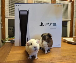 Sony запускает первую программу бета-тестирования PlayStation 5