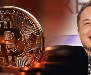 Илон Маск не вошёл в Совет майнеров Bitcoin, созданный фактически с его подачи