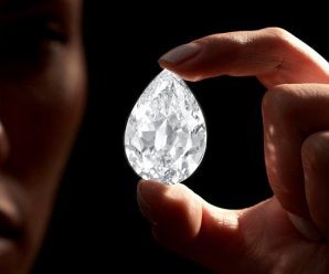 Бриллиант в 101 карат стал самым дорогим драгоценным камнем, купленным за криптовалюту