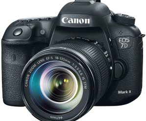 Камера Canon EOS 7D Mark II снята с производства, развитие линейки прекращено