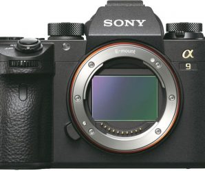 Обновление прошивки Sony a9 добавляет Animal Eye AF, интервальную съемку и другие новшества