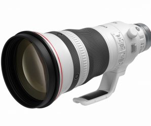 Представлены объективы Canon RF 400mm F2.8 L IS USM и RF 600mm F4 L IS USM